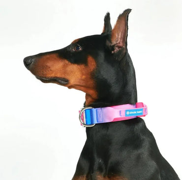 SparkPaws コンフォート コントロールカラー スノー コーン 2.5cm幅