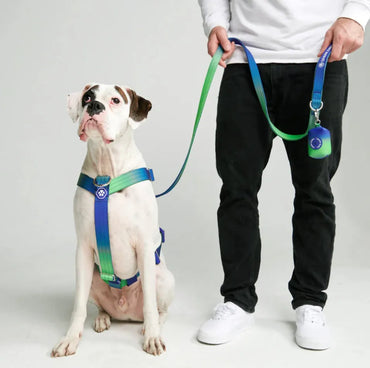 SparkPaws コンフォートコントロール リード ライムウェーブ