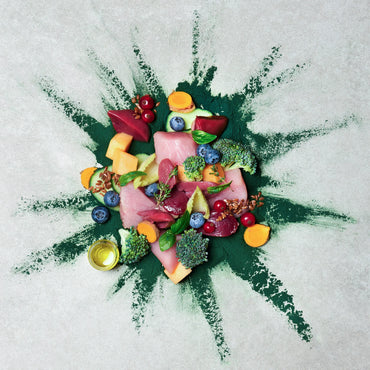 テラカニス ネイチャーハウンド ターキー&ダック ブロッコリー&メロン