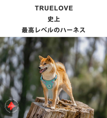 Truelove 犬 高機能ハーネス 耐久性 反射素材 カラフル 簡単着脱