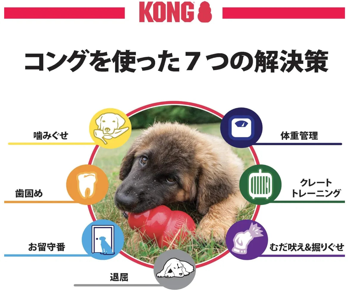 KONG パピー