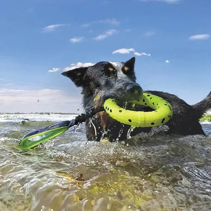 KONG リフレックスタグ　水に浮くおもちゃ