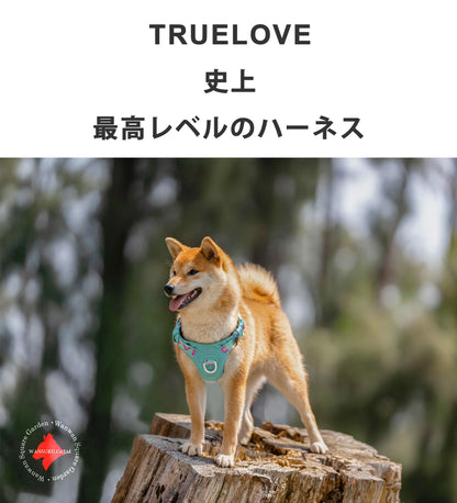 Truelove 犬 高機能ハーネス 耐久性 反射素材 カラフル 簡単着脱